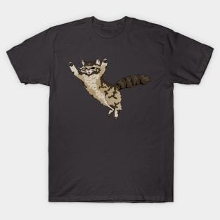 Pouncing Fluffy Cat T-Shirt